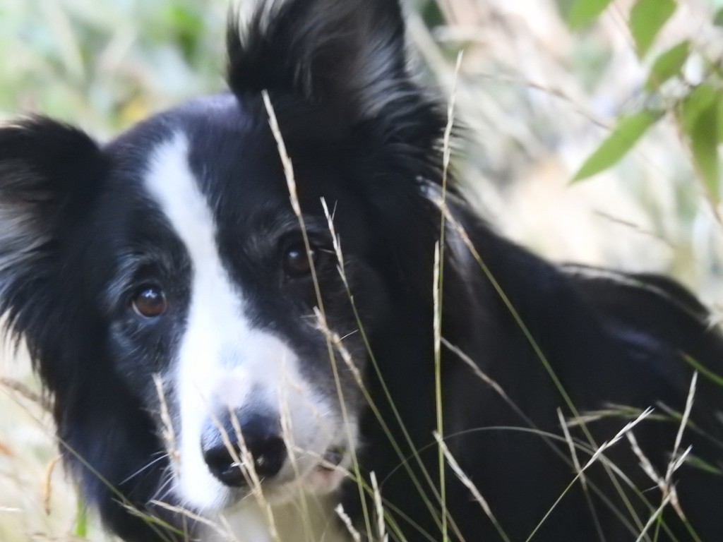 Healy outside Healy outside